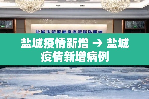 盐城疫情新增 → 盐城疫情新增病例