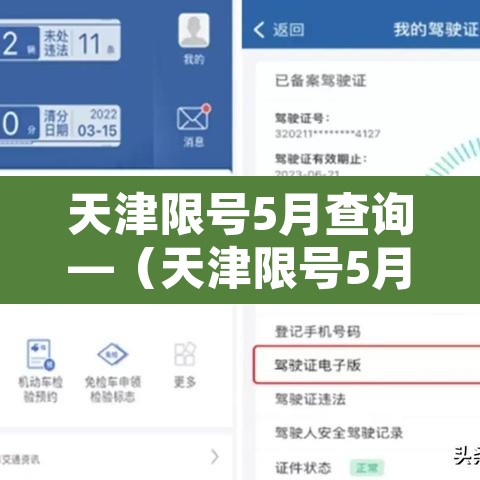 天津限号5月查询—（天津限号5月查询时间）