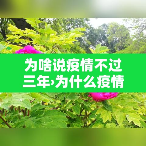 为啥说疫情不过三年›为什么疫情还不过去 为啥说疫情不过三年›为什么疫情还不过去