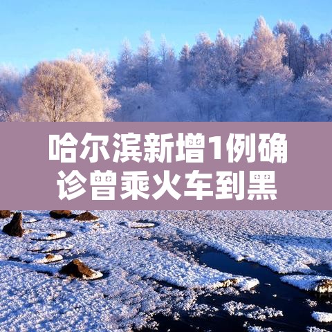 哈尔滨新增1例确诊曾乘火车到黑河—(哈尔滨到黑河火车疫情) 哈尔滨新增1例确诊曾乘火车到黑河—(哈尔滨到黑河火车疫情)