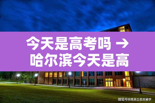 今天是高考吗 → 哈尔滨今天是高考吗