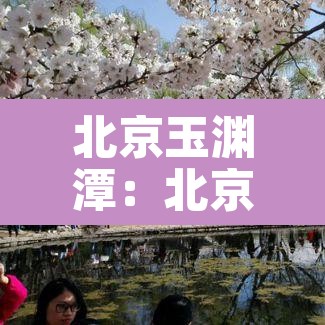 北京玉渊潭：北京玉渊潭公园图片