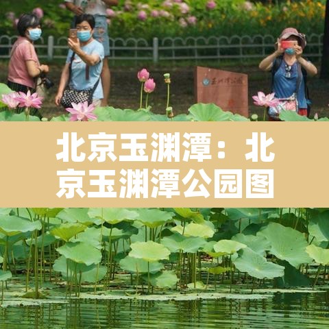 北京玉渊潭：北京玉渊潭公园图片