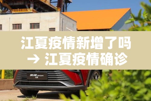 江夏疫情新增了吗 → 江夏疫情确诊 江夏疫情新增了吗 → 江夏疫情确诊