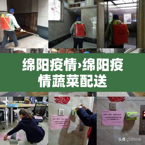 绵阳疫情›绵阳疫情蔬菜配送 绵阳疫情›绵阳疫情蔬菜配送