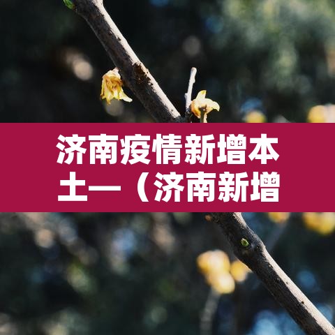 济南疫情新增本土—(济南新增1例详情) 济南疫情新增本土—(济南新增1例详情)