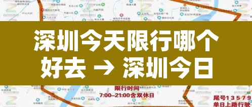 深圳今天限行哪个好去 → 深圳今日限行不