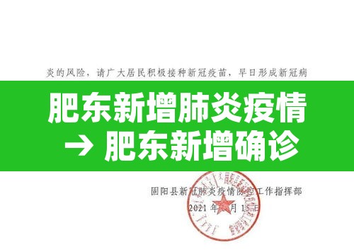 肥东新增肺炎疫情 → 肥东新增确诊病例 肥东新增肺炎疫情 → 肥东新增确诊病例