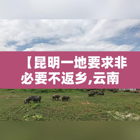 【昆明一地要求非必要不返乡,云南省非必要不外出】 【昆明一地要求非必要不返乡,云南省非必要不外出】