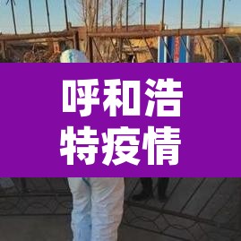 呼和浩特疫情数据›呼和浩特疫情实时动态