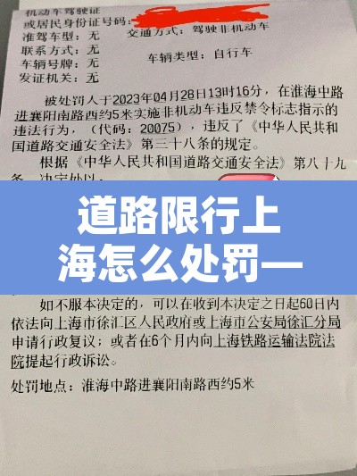 道路限行上海怎么处罚—(上海限行路段处罚) 道路限行上海怎么处罚—(上海限行路段处罚)