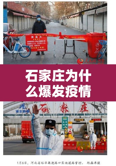 石家庄为什么爆发疫情›石家庄为什么出现这么多疫情