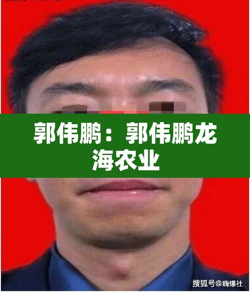 郭伟鹏:郭伟鹏龙海农业 郭伟鹏:郭伟鹏龙海农业