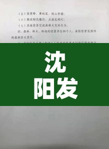 沈阳发布第29号通告:沈阳发布第29号通告了吗 沈阳发布第29号通告:沈阳发布第29号通告了吗