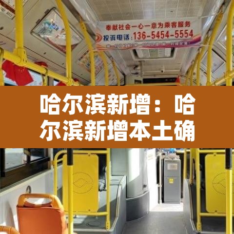 哈尔滨新增：哈尔滨新增本土确诊6例
