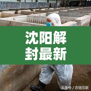 沈阳解封最新消息—(沈阳解封最新消息2021) 沈阳解封最新消息—(沈阳解封最新消息2021)