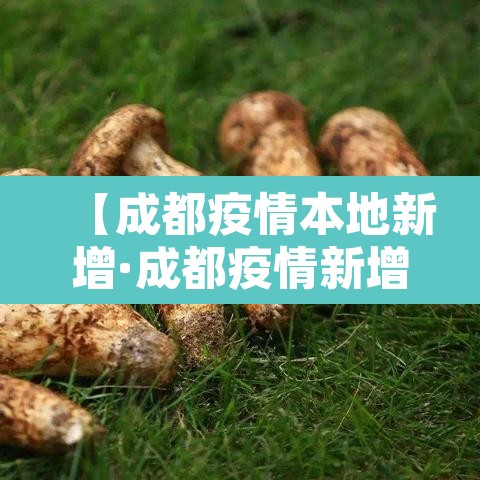 【成都疫情本地新增·成都疫情新增确诊】
