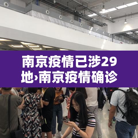 南京疫情已涉29地›南京疫情确诊病例破百,已波及5省9市