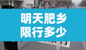 明天肥乡限行多少号车牌：今天肥乡区限车号吗