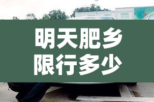 明天肥乡限行多少号车牌：今天肥乡区限车号吗