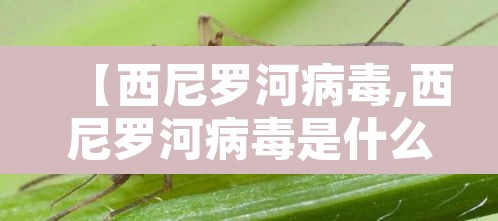 【西尼罗河病毒,西尼罗河病毒是什么】
