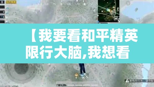 【我要看和平精英限行大脑,我想看和平精英限号解说】