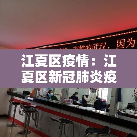 江夏区疫情:江夏区新冠肺炎疫情 江夏区疫情:江夏区新冠肺炎疫情