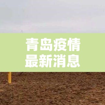 青岛疫情最新消息还能去青岛吗 → 青岛疫情可以出入吗