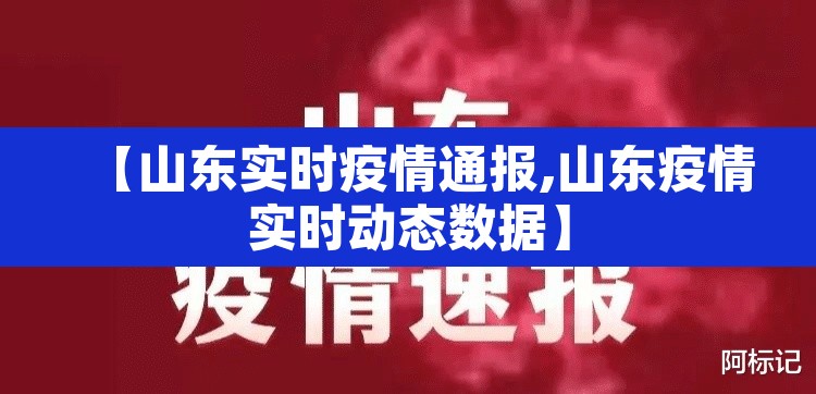 【山东实时疫情通报,山东疫情实时动态数据】