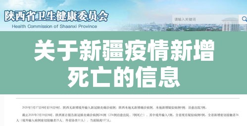 关于新疆疫情新增死亡的信息