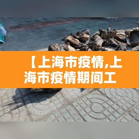 【上海市疫情,上海市疫情期间工程索赔文件依据】
