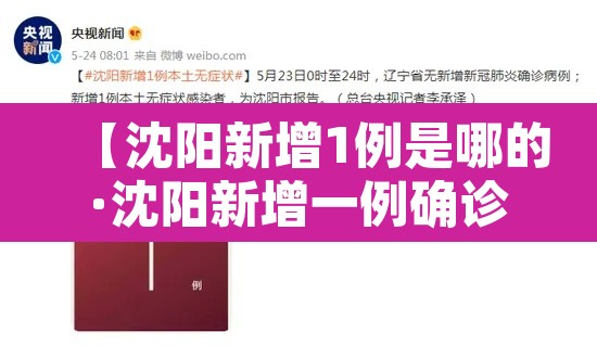 【沈阳新增1例是哪的·沈阳新增一例确诊病例】