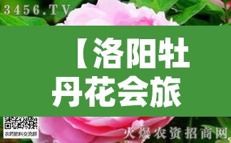 【洛阳牡丹花会旅游限行,2020年洛阳牡丹花会限行规定】