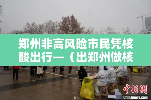 郑州非高风险市民凭核酸出行—(出郑州做核酸检测)