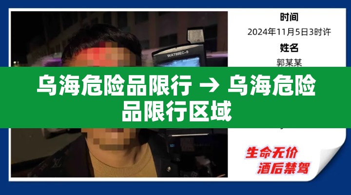 乌海危险品限行 → 乌海危险品限行区域