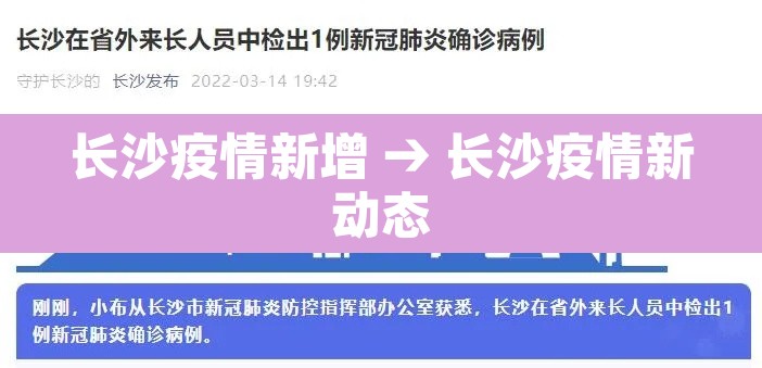 长沙疫情新增 → 长沙疫情新动态