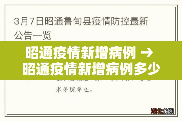 昭通疫情新增病例 → 昭通疫情新增病例多少