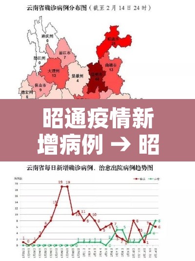 昭通疫情新增病例 → 昭通疫情新增病例多少