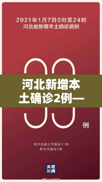 河北新增本土确诊2例—(河北新增确诊33例 含本土13例) 河北新增本土确诊2例—(河北新增确诊33例 含本土13例)
