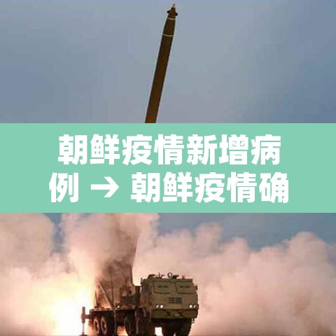 朝鲜疫情新增病例 → 朝鲜疫情确诊病例