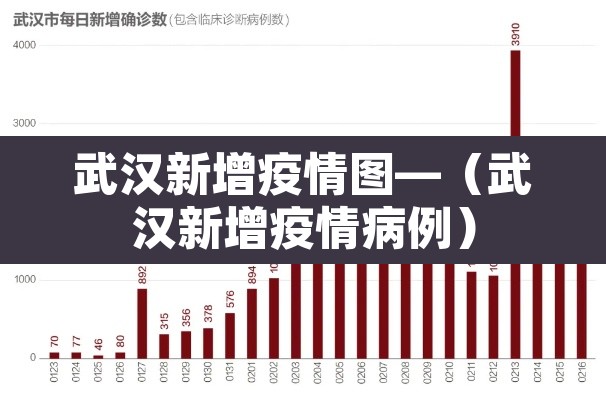 武汉新增疫情图—（武汉新增疫情病例）