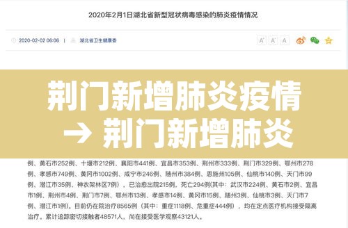 荆门新增肺炎疫情 → 荆门新增肺炎疫情轨迹