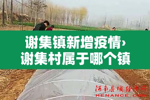 谢集镇新增疫情›谢集村属于哪个镇
