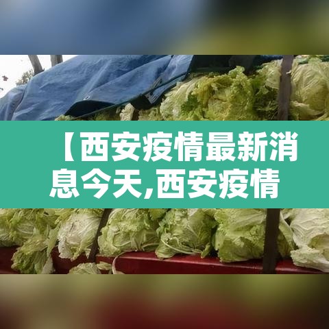【西安疫情最新消息今天,西安疫情最新官方消息】 【西安疫情最新消息今天,西安疫情最新官方消息】