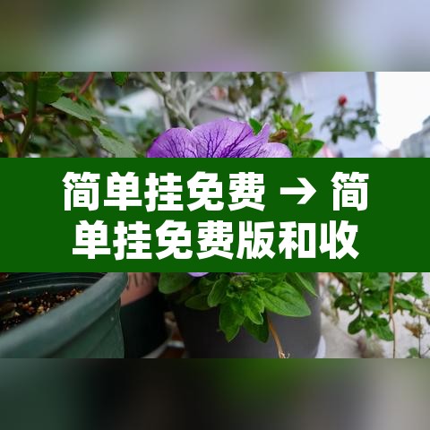 简单挂免费 → 简单挂免费版和收费版 简单挂免费 → 简单挂免费版和收费版