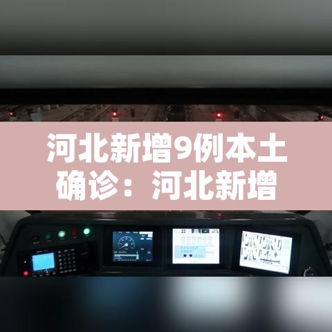 河北新增9例本土确诊:河北新增90例本地确诊病例轨迹公布 河北新增9例本土确诊:河北新增90例本地确诊病例轨迹公布