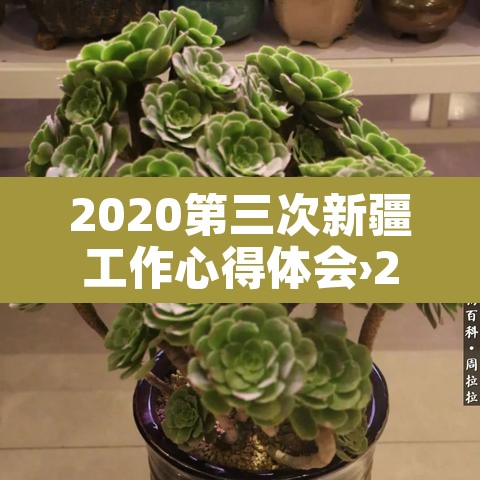 2020第三次新疆工作心得体会›2020第三次新疆工作心得体会免费 2020第三次新疆工作心得体会›2020第三次新疆工作心得体会免费