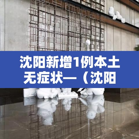 沈阳新增1例本土无症状—（沈阳新增1例无症状感染）