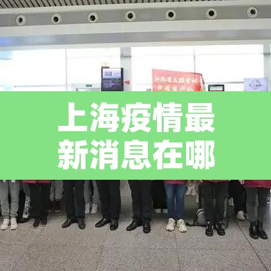 上海疫情最新消息在哪几个区›上海疫情区域分布图 上海疫情最新消息在哪几个区›上海疫情区域分布图