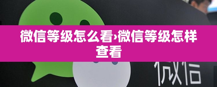 微信等级怎么看›微信等级怎样查看